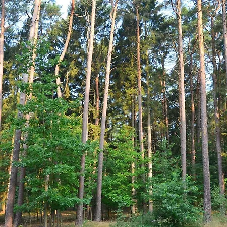 Blue Mare Pod Wiewiorka * Łukęcin