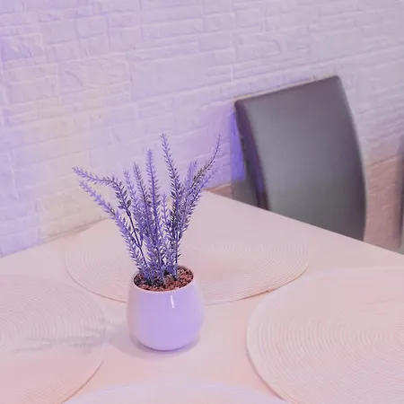 Daire Blue Mare Pod Wiewiorka *