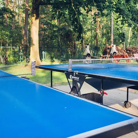 Daire Blue Mare Pod Wiewiorka *