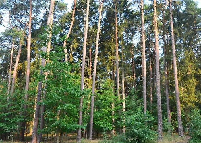 Blue Mare Pod Wiewiorka * Łukęcin