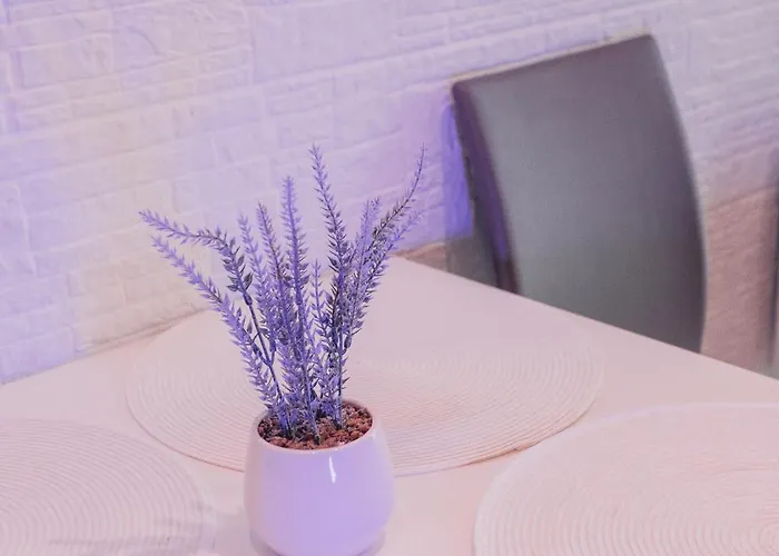 Apartament Blue Mare Pod Wiewiórką *